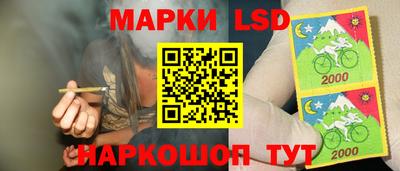 стаф Новозыбков