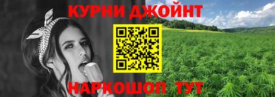 стаф Новозыбков