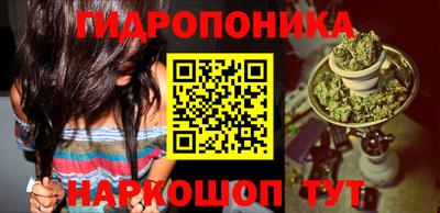 стаф Новозыбков