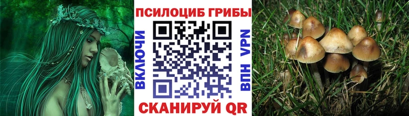 Псилоцибиновые грибы Psilocybe  сайты даркнета как зайти  Азов  где можно купить  